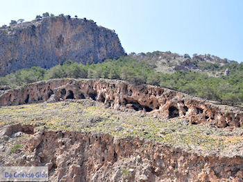 Grotten in de rotsen aan Agia Roumeli strand | Chania Kreta | Griekenland - Foto van https://www.grieksegids.nl/fotos/eiland-kreta/fotos-mid/agia-roumeli-kreta/agia-roumeli-kreta-022.jpg