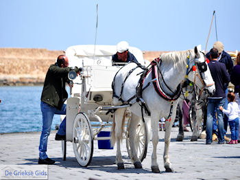 Paard en koets  | Chania stad | Kreta - Foto van https://www.grieksegids.nl/fotos/eiland-kreta/fotos-mid/chania-kreta/chania-stad-036.jpg