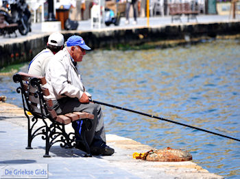 De oude visser van Chania  | Chania stad | Kreta - Foto van https://www.grieksegids.nl/fotos/eiland-kreta/fotos-mid/chania-kreta/chania-stad-039.jpg