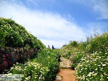 Wandeling tot op de Schiavo vesting  | Chania stad | Kreta - Foto van https://www.grieksegids.nl/fotos/eiland-kreta/fotos-mid/chania-kreta/chania-stad-074.jpg