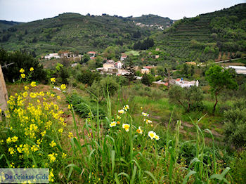 Traditioneel dorp Deliana | Chania Kreta | Foto 14 - Foto van https://www.grieksegids.nl/fotos/eiland-kreta/fotos-mid/deliana-kreta/deliana-014.jpg