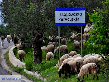 Traditioneel dorp Deliana | Chania Kreta | Foto 15 - Foto van https://www.grieksegids.nl/fotos/eiland-kreta/fotos-mid/deliana-kreta/deliana-015.jpg