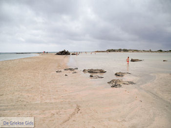 Zandstrand Elafonisi (Elafonissi) | Chania Kreta | Foto 1 - Foto van https://www.grieksegids.nl/fotos/eiland-kreta/fotos-mid/elafonisi-kreta/elafonisi-kreta-01.jpg