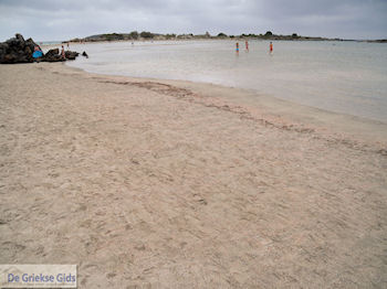 Zandstrand Elafonisi (Elafonissi) | Chania Kreta | Foto 6 - Foto van https://www.grieksegids.nl/fotos/eiland-kreta/fotos-mid/elafonisi-kreta/elafonisi-kreta-06.jpg