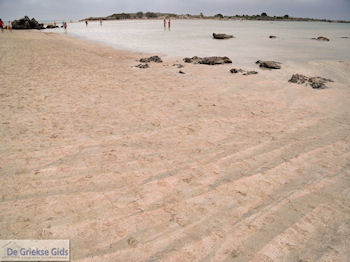 Zandstrand Elafonisi (Elafonissi) | Chania Kreta | Foto 12 - Foto van https://www.grieksegids.nl/fotos/eiland-kreta/fotos-mid/elafonisi-kreta/elafonisi-kreta-12.jpg