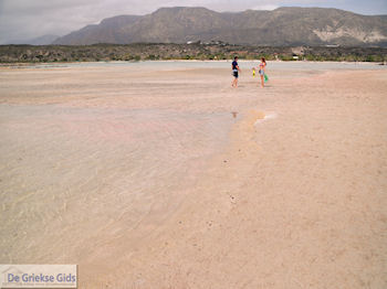 Zandstrand Elafonisi (Elafonissi) | Chania Kreta | Foto 41 - Foto van https://www.grieksegids.nl/fotos/eiland-kreta/fotos-mid/elafonisi-kreta/elafonisi-kreta-41.jpg