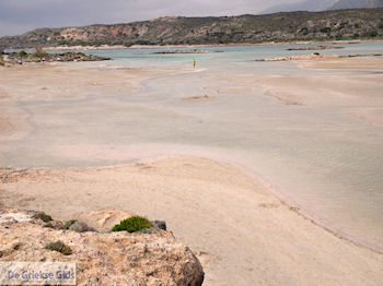 Zandstrand Elafonisi (Elafonissi) | Chania Kreta | Foto 45 - Foto van https://www.grieksegids.nl/fotos/eiland-kreta/fotos-mid/elafonisi-kreta/elafonisi-kreta-45.jpg