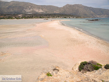 Zandstrand Elafonisi (Elafonissi) | Chania Kreta | Foto 47 - Foto van https://www.grieksegids.nl/fotos/eiland-kreta/fotos-mid/elafonisi-kreta/elafonisi-kreta-47.jpg