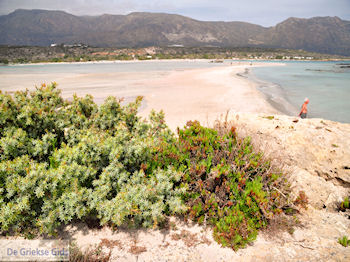 Zandstrand Elafonisi (Elafonissi) | Chania Kreta | Foto 49 - Foto van https://www.grieksegids.nl/fotos/eiland-kreta/fotos-mid/elafonisi-kreta/elafonisi-kreta-49.jpg