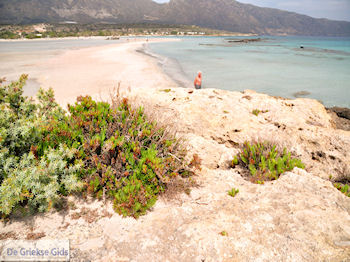 Zandstrand Elafonisi (Elafonissi) | Chania Kreta | Foto 50 - Foto van https://www.grieksegids.nl/fotos/eiland-kreta/fotos-mid/elafonisi-kreta/elafonisi-kreta-50.jpg