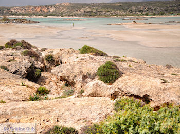 Zandstrand Elafonisi (Elafonissi) | Chania Kreta | Foto 51 - Foto van https://www.grieksegids.nl/fotos/eiland-kreta/fotos-mid/elafonisi-kreta/elafonisi-kreta-51.jpg
