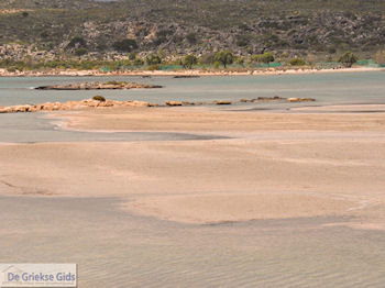 Zandstrand Elafonisi (Elafonissi) | Chania Kreta | Foto 53 - Foto van https://www.grieksegids.nl/fotos/eiland-kreta/fotos-mid/elafonisi-kreta/elafonisi-kreta-53.jpg