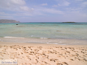 Zandstrand Elafonisi (Elafonissi) | Chania Kreta | Foto 65 - Foto van https://www.grieksegids.nl/fotos/eiland-kreta/fotos-mid/elafonisi-kreta/elafonisi-kreta-65.jpg