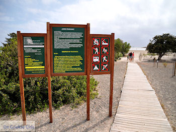 Zandstrand Elafonisi (Elafonissi) | Chania Kreta | Foto 77 - Foto van https://www.grieksegids.nl/fotos/eiland-kreta/fotos-mid/elafonisi-kreta/elafonisi-kreta-77.jpg