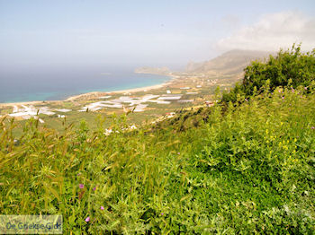 Falassarna (Falasarna) Chania Kreta | Griechenland | Foto 2 - Foto von GriechenlandWeb.de