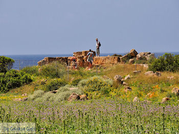 Oud Falassarna (Falasarna) Chania Kreta | Griekenland | Foto 27 - Foto van https://www.grieksegids.nl/fotos/eiland-kreta/fotos-mid/falassarna-kreta/falassarna-kreta-27.jpg
