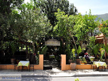 Archanes Kreta | Griekenland 11 - Foto van https://www.grieksegids.nl/fotos/eiland-kreta/fotos-mid/kreta-fotos/archanes-kreta-011.jpg