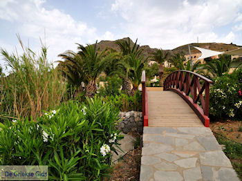 Damnoni (Damnioni) Kreta | Griekenland 11 - Foto van https://www.grieksegids.nl/fotos/eiland-kreta/fotos-mid/kreta-fotos/damnoni-kreta-011.jpg