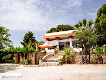 Festos Kreta |Phaestos | De Griekse Gids foto 44 - Foto van https://www.grieksegids.nl/fotos/eiland-kreta/fotos-mid/kreta-fotos/festos-kreta-044.jpg