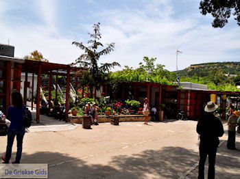 Knossos Kreta | Griekenland 29 - Foto van https://www.grieksegids.nl/fotos/eiland-kreta/fotos-mid/kreta-fotos/knossos-kreta-029.jpg