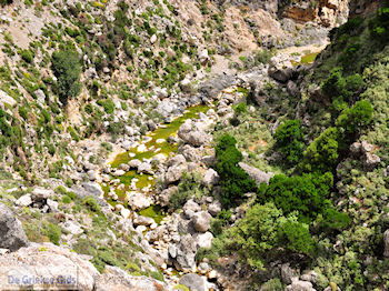 Kourtaliotiko Kloof Kreta | Griekenland 10 - Foto van https://www.grieksegids.nl/fotos/eiland-kreta/fotos-mid/kreta-fotos/kourtaliotiko-kloof-kreta-010.jpg
