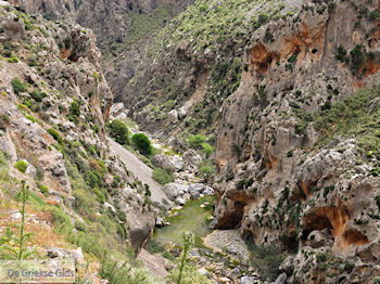 Kourtaliotiko Kloof Kreta | Griekenland 17 - Foto van https://www.grieksegids.nl/fotos/eiland-kreta/fotos-mid/kreta-fotos/kourtaliotiko-kloof-kreta-017.jpg