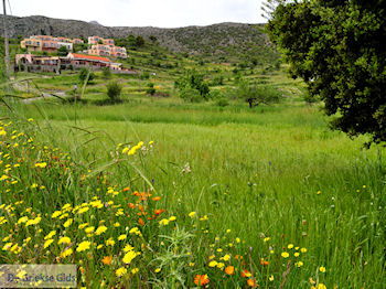Lassithi vlakte Kreta | Griekenland 32 - Foto van https://www.grieksegids.nl/fotos/eiland-kreta/fotos-mid/kreta-fotos/lassithi-vlakte-kreta-032.jpg