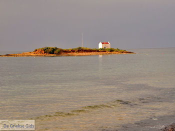 Malia Kreta | Griekenland 35 - Foto van https://www.grieksegids.nl/fotos/eiland-kreta/fotos-mid/kreta-fotos/malia-kreta-025.jpg