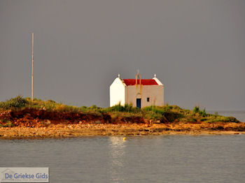 Malia Kreta | Griekenland 36 - Foto van https://www.grieksegids.nl/fotos/eiland-kreta/fotos-mid/kreta-fotos/malia-kreta-026.jpg