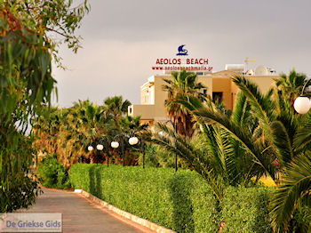 Malia Kreta | Griekenland 47 - Foto van https://www.grieksegids.nl/fotos/eiland-kreta/fotos-mid/kreta-fotos/malia-kreta-037.jpg