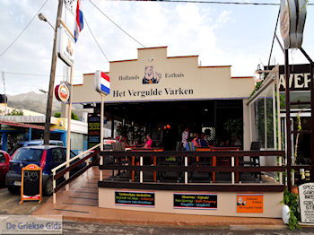 Malia Kreta | Griekenland 48 - Foto van https://www.grieksegids.nl/fotos/eiland-kreta/fotos-mid/kreta-fotos/malia-kreta-038.jpg