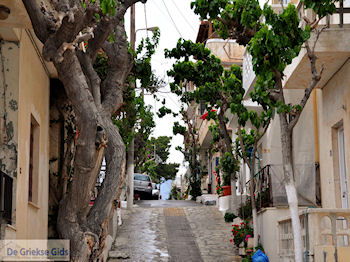 Mirtos Kreta | Griekenland 4 - Foto van https://www.grieksegids.nl/fotos/eiland-kreta/fotos-mid/kreta-fotos/mirtos-kreta-004.jpg