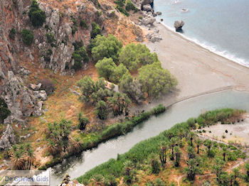 Preveli Kreta | Griekenland 15 - Foto van https://www.grieksegids.nl/fotos/eiland-kreta/fotos-mid/kreta-fotos/preveli-kreta-015.jpg