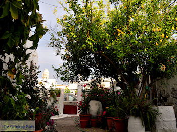 Skourvoula Kreta | Griekenland 3 - Foto van https://www.grieksegids.nl/fotos/eiland-kreta/fotos-mid/kreta-fotos/skourvoula-kreta-003.jpg