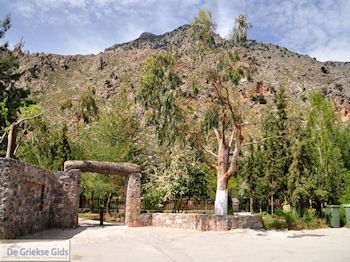 Zaros Kreta | Griekenland 2 - Foto van https://www.grieksegids.nl/fotos/eiland-kreta/fotos-mid/kreta-fotos/zaros-kreta-002.jpg