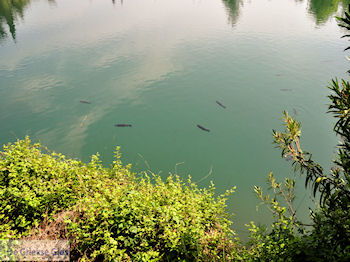 Zaros Kreta | Griekenland 12 - Foto van https://www.grieksegids.nl/fotos/eiland-kreta/fotos-mid/kreta-fotos/zaros-kreta-012.jpg