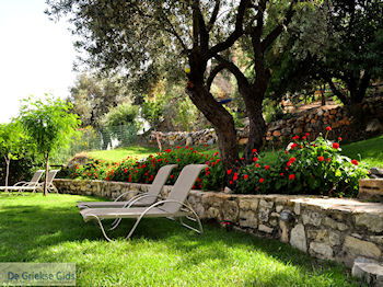 Zaros Kreta | Griekenland 19 - Foto van https://www.grieksegids.nl/fotos/eiland-kreta/fotos-mid/kreta-fotos/zaros-kreta-019.jpg