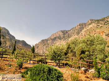 Zaros Kreta | Griekenland 20 - Foto van https://www.grieksegids.nl/fotos/eiland-kreta/fotos-mid/kreta-fotos/zaros-kreta-020.jpg