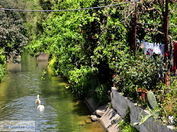 Leuk dorpje Patelari bij Platanias en Stalos (Platanias Chania Kreta - Stalos Chania Kreta) foto 2  | Chania | Kreta - Foto van https://www.grieksegids.nl/fotos/eiland-kreta/fotos-mid/platanias-stalos-agiamarina/patelari-22.jpg