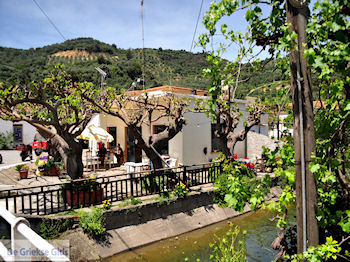 Leuk dorpje Patelari bij Platanias en Stalos (Platanias Chania Kreta - Stalos Chania Kreta) foto 3  | Chania | Kreta - Foto van https://www.grieksegids.nl/fotos/eiland-kreta/fotos-mid/platanias-stalos-agiamarina/patelari-23.jpg