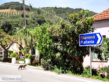 Leuk dorpje Patelari bij Platanias en Stalos (Platanias Chania Kreta - Stalos Chania Kreta) foto 4  | Chania | Kreta - Foto van De Griekse Gids