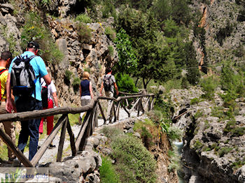 Samaria Kloof | Kreta | Griekenland foto 10 - Foto van https://www.grieksegids.nl/fotos/eiland-kreta/fotos-mid/samaria-kreta/samaria-kreta-010.jpg