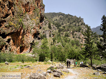 Samaria Kloof | Kreta | Griekenland foto 15 - Foto van https://www.grieksegids.nl/fotos/eiland-kreta/fotos-mid/samaria-kreta/samaria-kreta-015.jpg