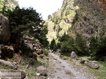 Samariakloof (Chania Kreta) - Foto van https://www.grieksegids.nl/fotos/eiland-kreta/fotos-mid/samaria-kreta/samaria-kreta-028.jpg