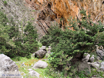 Samariakloof (Chania Kreta) - Foto van https://www.grieksegids.nl/fotos/eiland-kreta/fotos-mid/samaria-kreta/samaria-kreta-029.jpg