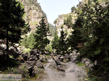 Samariakloof (Chania Kreta) - Foto van https://www.grieksegids.nl/fotos/eiland-kreta/fotos-mid/samaria-kreta/samaria-kreta-030.jpg