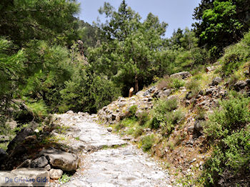 Samariakloof (Chania Kreta) - Foto van https://www.grieksegids.nl/fotos/eiland-kreta/fotos-mid/samaria-kreta/samaria-kreta-036.jpg