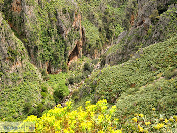 Traditioneel dorp Topolia | Chania Kreta | Foto 22 - Foto van https://www.grieksegids.nl/fotos/eiland-kreta/fotos-mid/topolia-kreta/topolia-022.jpg