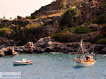 GriechenlandWeb Agia Roumeli Chania Kreta - Foto GriechenlandWeb.de