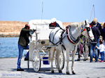 Paard en koets  | Chania stad | Kreta - Foto van De Griekse Gids